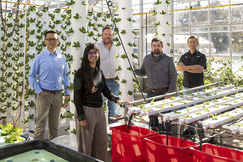 From left, Zhihang Song, assistant professor of horticulture; Ruchika Kashyap, assistant professor of plant pathology; Andrew Ogden, assistant professor of horticulture; Erich Schoeller, assistant professor of entomology; and Rhuanito Ferrarezi, professor of horticulture.